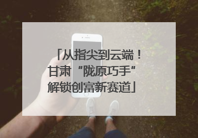 从指尖到云端！甘肃“陇原巧手”解锁创富新赛道