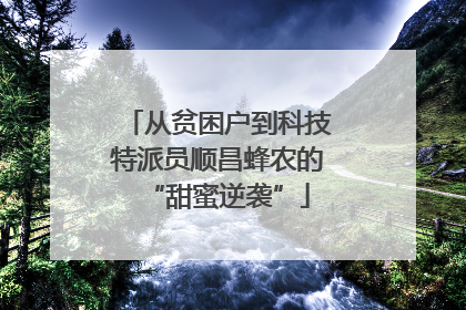 从贫困户到科技特派员顺昌蜂农的“甜蜜逆袭”