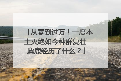 从零到过万！一度本土灭绝如今种群复壮 麋鹿经历了什么？