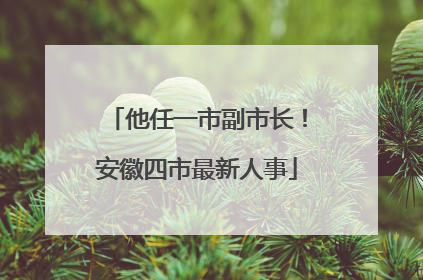 他任一市副市长！安徽四市最新人事