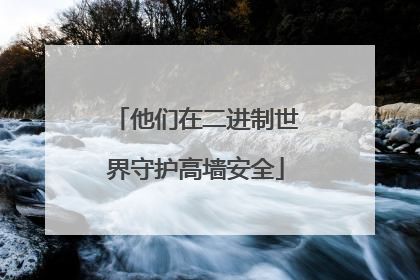 他们在二进制世界守护高墙安全