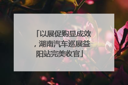 以展促购显成效，湖南汽车巡展益阳站完美收官