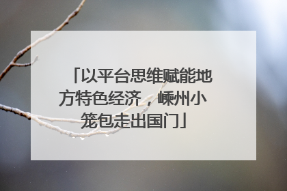 以平台思维赋能地方特色经济，嵊州小笼包走出国门