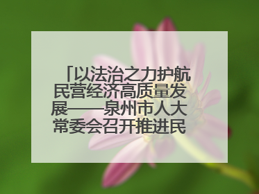以法治之力护航民营经济高质量发展——泉州市人大常委会召开推进民营经济促进法贯彻实施座谈会
