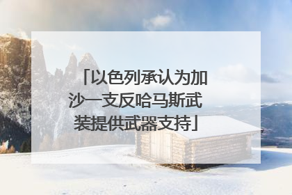 以色列承认为加沙一支反哈马斯武装提供武器支持