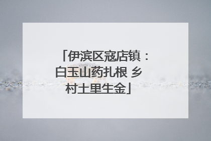 伊滨区寇店镇：白玉山药扎根 乡村土里生金