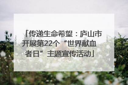 传递生命希望：庐山市开展第22个“世界献血者日”主题宣传活动