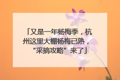 又是一年杨梅季，杭州这里大棚杨梅已熟，“采摘攻略”来了