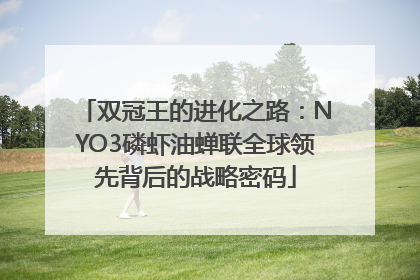 双冠王的进化之路：NYO3磷虾油蝉联全球领先背后的战略密码