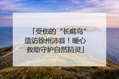 受伤的“长嘴鸟”造访徐州沛县！暖心救助守护自然精灵