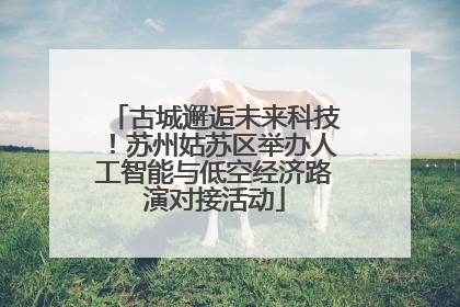 古城邂逅未来科技！苏州姑苏区举办人工智能与低空经济路演对接活动