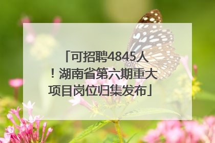 可招聘4845人！湖南省第六期重大项目岗位归集发布