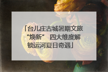 台儿庄古城暑期文旅“焕新” 四大维度解锁运河夏日奇遇