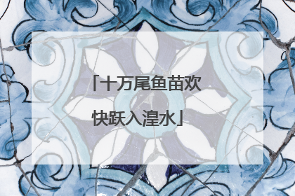 十万尾鱼苗欢快跃入湟水