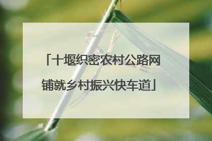 十堰织密农村公路网 铺就乡村振兴快车道