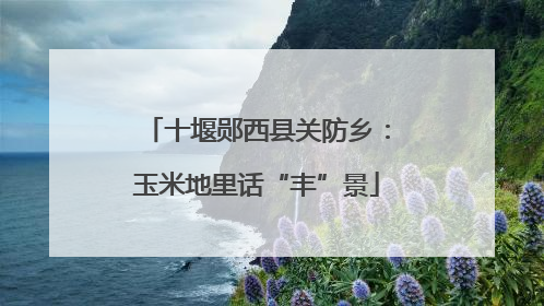十堰郧西县关防乡：玉米地里话“丰”景
