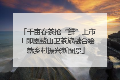 千亩春茶抢“鲜”上市！即墨鳌山卫茶旅融合绘就乡村振兴新图景