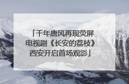 千年唐风再现荧屏 电视剧《长安的荔枝》西安开启首场观影