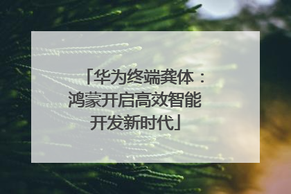 华为终端龚体：鸿蒙开启高效智能开发新时代