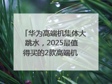 华为高端机集体大跳水，2025最值得买的2款高端机 mate70、pura70如何选？