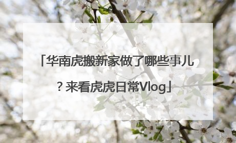 华南虎搬新家做了哪些事儿？来看虎虎日常Vlog
