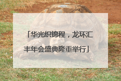 华光织锦程，龙环汇丰年会盛典隆重举行