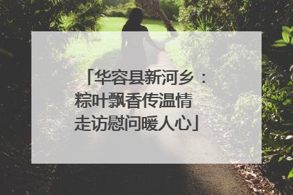华容县新河乡：粽叶飘香传温情 走访慰问暖人心