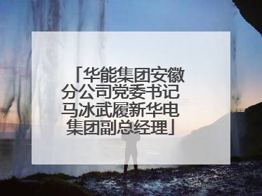 华能集团安徽分公司党委书记马冰武履新华电集团副总经理