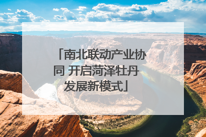 南北联动产业协同 开启菏泽牡丹发展新模式