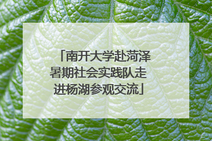 南开大学赴菏泽暑期社会实践队走进杨湖参观交流