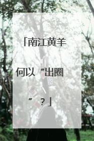 南江黄羊何以“出圈”？