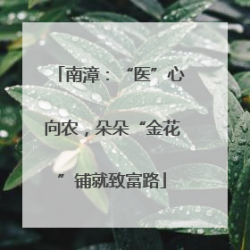 南漳：“医”心向农，朵朵“金花”铺就致富路
