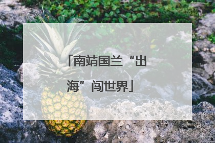 南靖国兰“出海”闯世界