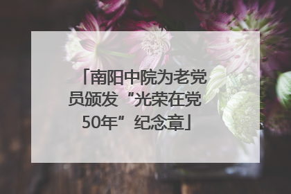 南阳中院为老党员颁发“光荣在党50年”纪念章