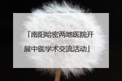 南阳哈密两地医院开展中医学术交流活动