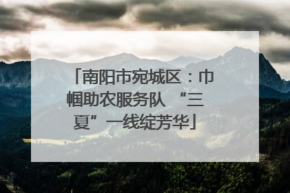 南阳市宛城区：巾帼助农服务队 “三夏”一线绽芳华