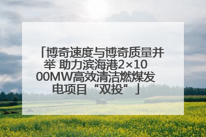 博奇速度与博奇质量并举 助力滨海港2×1000MW高效清洁燃煤发电项目“双投”