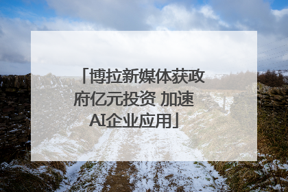 博拉新媒体获政府亿元投资 加速AI企业应用