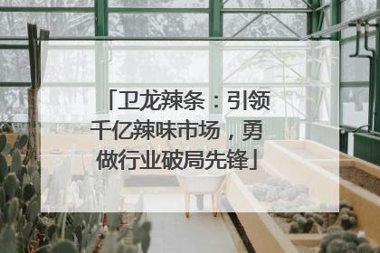 卫龙辣条：引领千亿辣味市场，勇做行业破局先锋