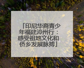 印尼华裔青少年福建漳州行：感受祖地文化和侨乡发展脉搏