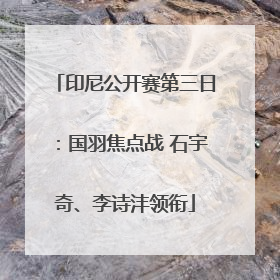印尼公开赛第三日：国羽焦点战 石宇奇、李诗沣领衔