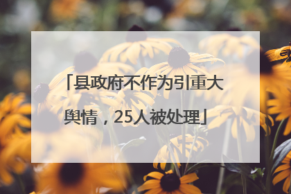 县政府不作为引重大舆情，25人被处理
