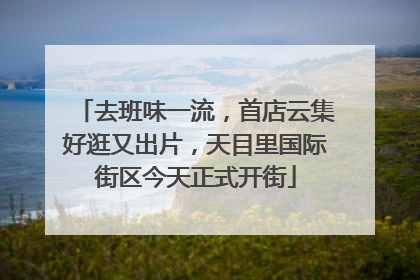 去班味一流，首店云集好逛又出片，天目里国际街区今天正式开街