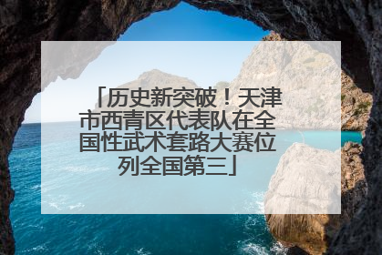 历史新突破！天津市西青区代表队在全国性武术套路大赛位列全国第三