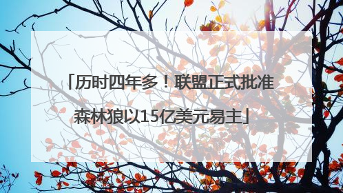 历时四年多！联盟正式批准森林狼以15亿美元易主