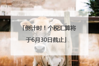 倒计时！个税汇算将于6月30日截止