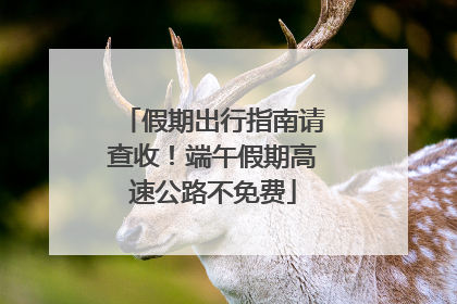 假期出行指南请查收！端午假期高速公路不免费