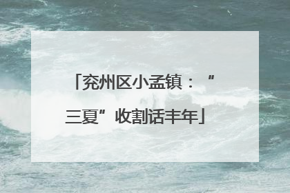 兖州区小孟镇：“三夏”收割话丰年