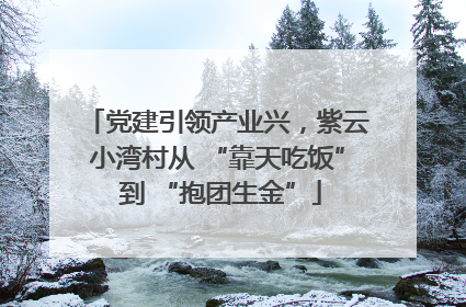 党建引领产业兴，紫云小湾村从 “靠天吃饭” 到 “抱团生金”
