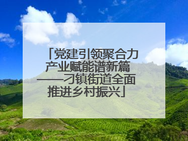 党建引领聚合力 产业赋能谱新篇——刁镇街道全面推进乡村振兴